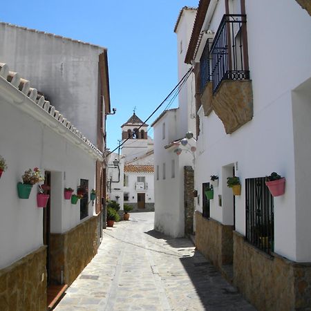 Moclinejo House Villa Малага Екстериор снимка